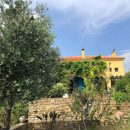 The Yellow House Kamaria